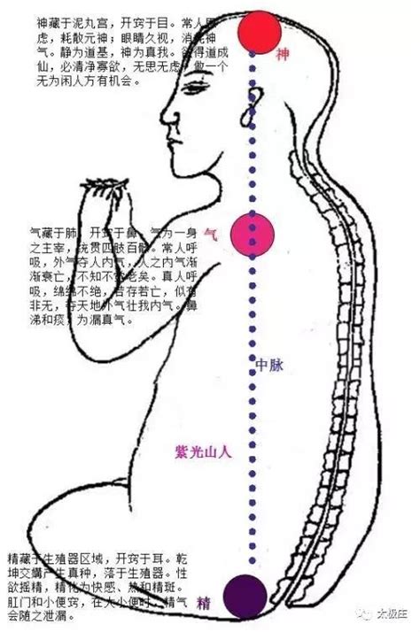 玄關竅位置|道教學術資訊網站